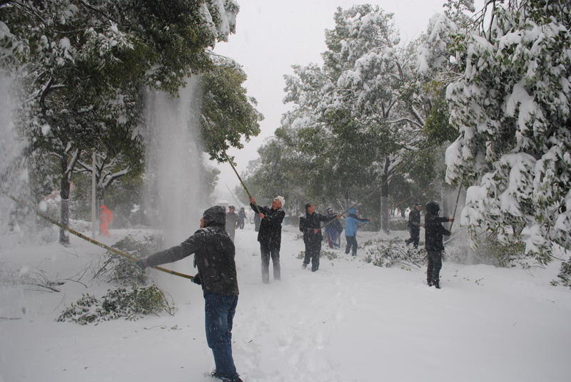 淮南師范學院召開抗雪防災工作會議，加強校園安全工作