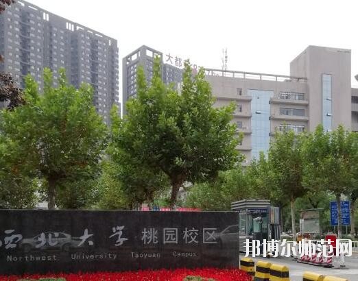 西北大學師范學院桃園校區學費