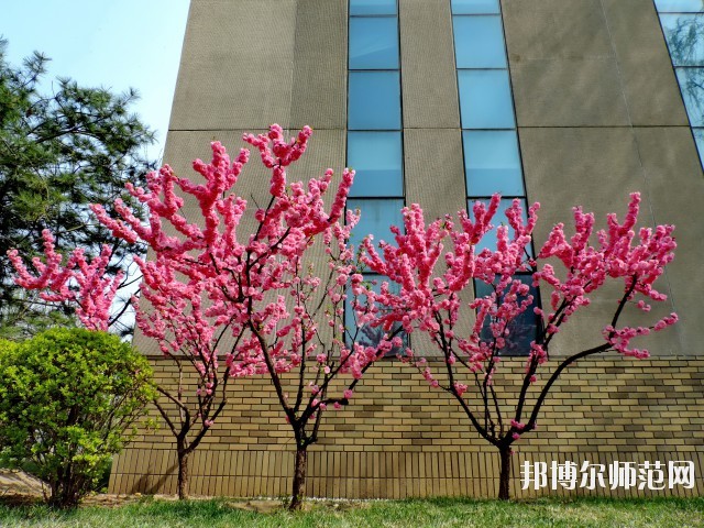 中央財經師范大學學院南路校區招生辦聯系電話