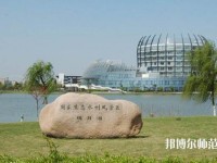 東華大學師范學院松江校區2023年網站網址