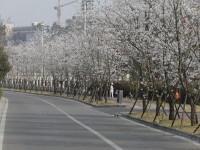 眉山職業技術師范學院歷年招生錄取分數線