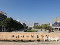 武漢城市職業師范學院2023年是幾專