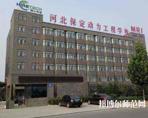 師范網6