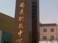 懷安幼兒師范職教中心2021年有那些專業