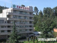 云南林業幼兒師范高級技工學校2023年有那些專業