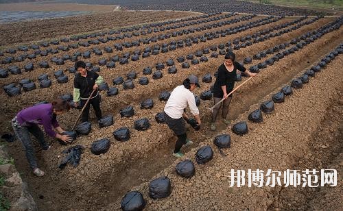 四川興文縣職業(yè)技術(shù)幼兒師范學(xué)校地址在哪里