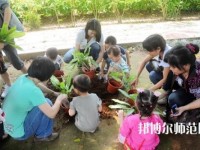 貴陽2020年幼師學校屬于什么學歷