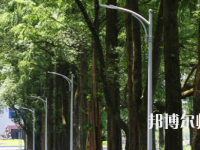安徽2021年什么幼師學校就業最好
