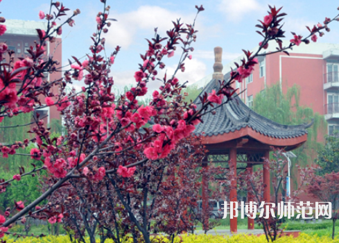 駐馬店師范職業(yè)技術(shù)學(xué)院2023年報(bào)名條件、招生要求、招生對(duì)象