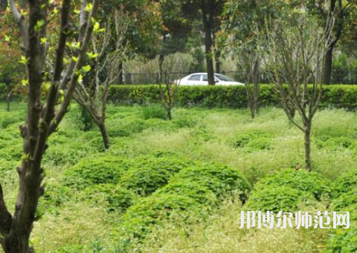 駐馬店師范職業(yè)技術(shù)學(xué)院2023年報(bào)名條件、招生要求、招生對(duì)象