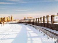 榆林職業技術師范學院2023年招生代碼