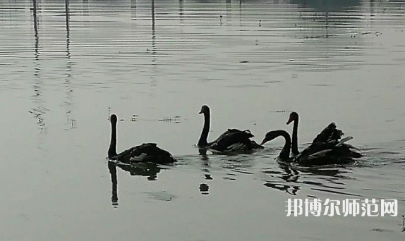 浙江師范大學行知學院蘭溪校區2023年怎么樣、好不好