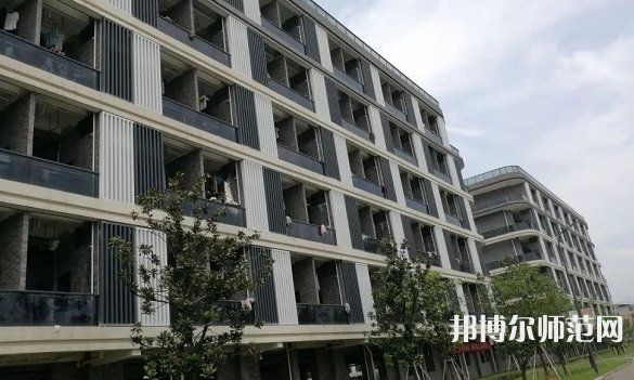 浙江師范大學行知學院師大校區2023年有哪些專業