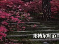 信陽師范學(xué)院華銳學(xué)院2023年報名條件、招生要求、招生對象