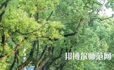 湖南理工師范學(xué)院南湖學(xué)院2023年報名條件、招生要求、招生對象