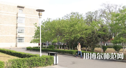 遼寧大學師范學院崇山校區(qū)2023年有哪些專業(yè)