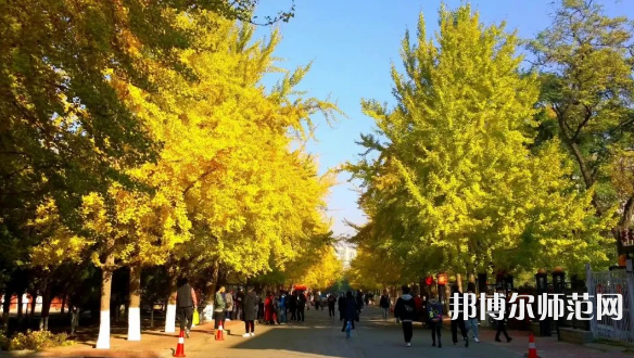 遼寧大學師范學院崇山校區2023年報名條件、招生要求、招生對象