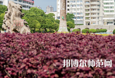 南華師范大學雨母校區2023年招生代碼