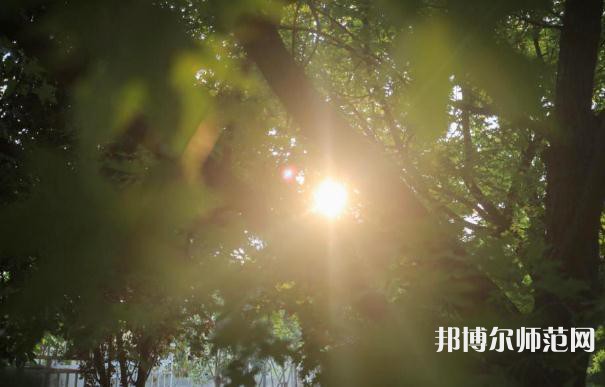 咸陽職業技術師范學院2023年報名條件、招生要求、招生對象