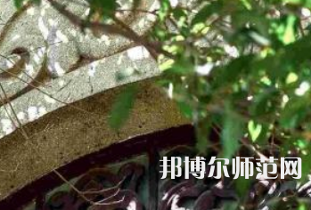 湖南大學師范學院南校區2023年有哪些專業