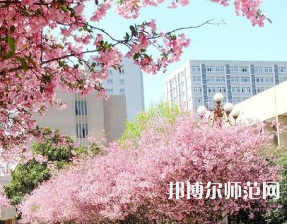 中國礦業師范大學徐海學院2023年報名條件、招生要求、招生對象