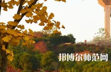 長(zhǎng)沙理工師范大學(xué)金盆嶺校區(qū)2023年有哪些專(zhuān)業(yè)