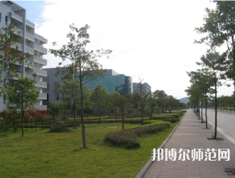 重慶文理學院2023年有哪些專業 