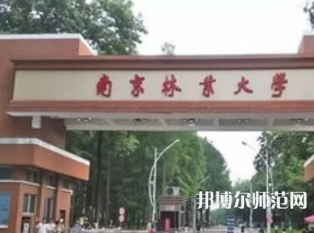 南京林業師范大學淮安校區2023年有哪些專業