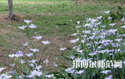 湖南第一師范學(xué)院城南書院校區(qū)2023年怎么樣、好不好