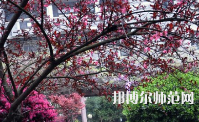 湖南第一師范學(xué)院東方紅校區(qū)2023年有哪些專業(yè)