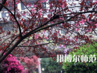 湖南第一師范學院東方紅校區(qū)2023年有哪些專業(yè)