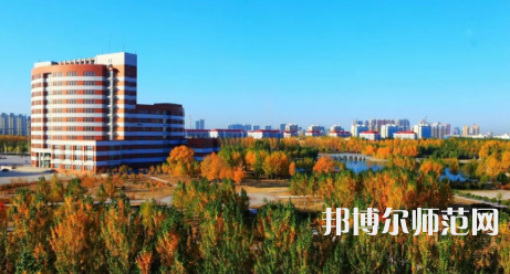 東北石油師范大學2023年有哪些專業 
