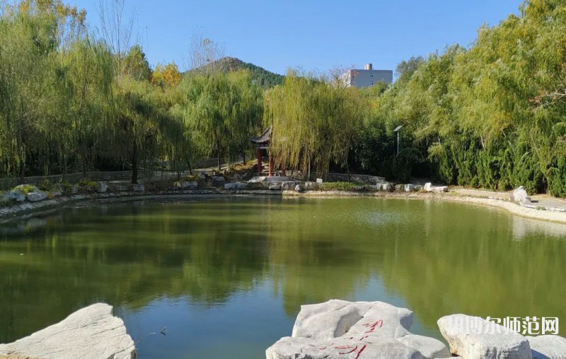 濰坊理工師范學院2023年有哪些專業 