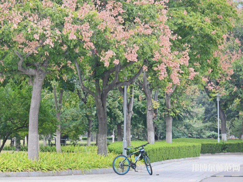 山東師范大學2023年學費