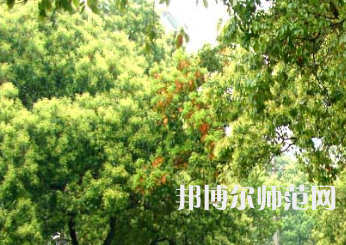 衡陽(yáng)師范學(xué)院南岳學(xué)院2023年怎么樣、好不好