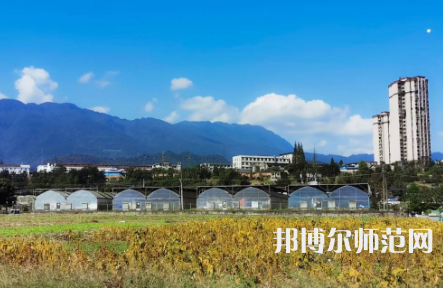 四川農業師范大學雅安校區2023年排名