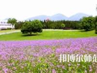 2023年重慶師范大學廣播電視編導專業介紹